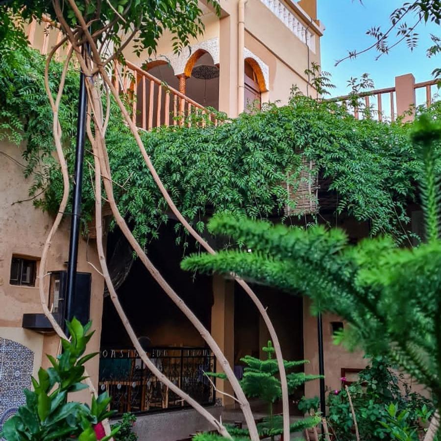 Oasis De Tiout Apartment Exterior photo