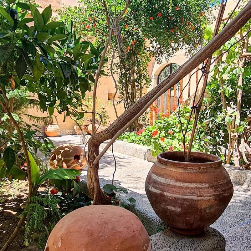 Oasis De Tiout Apartment Exterior photo