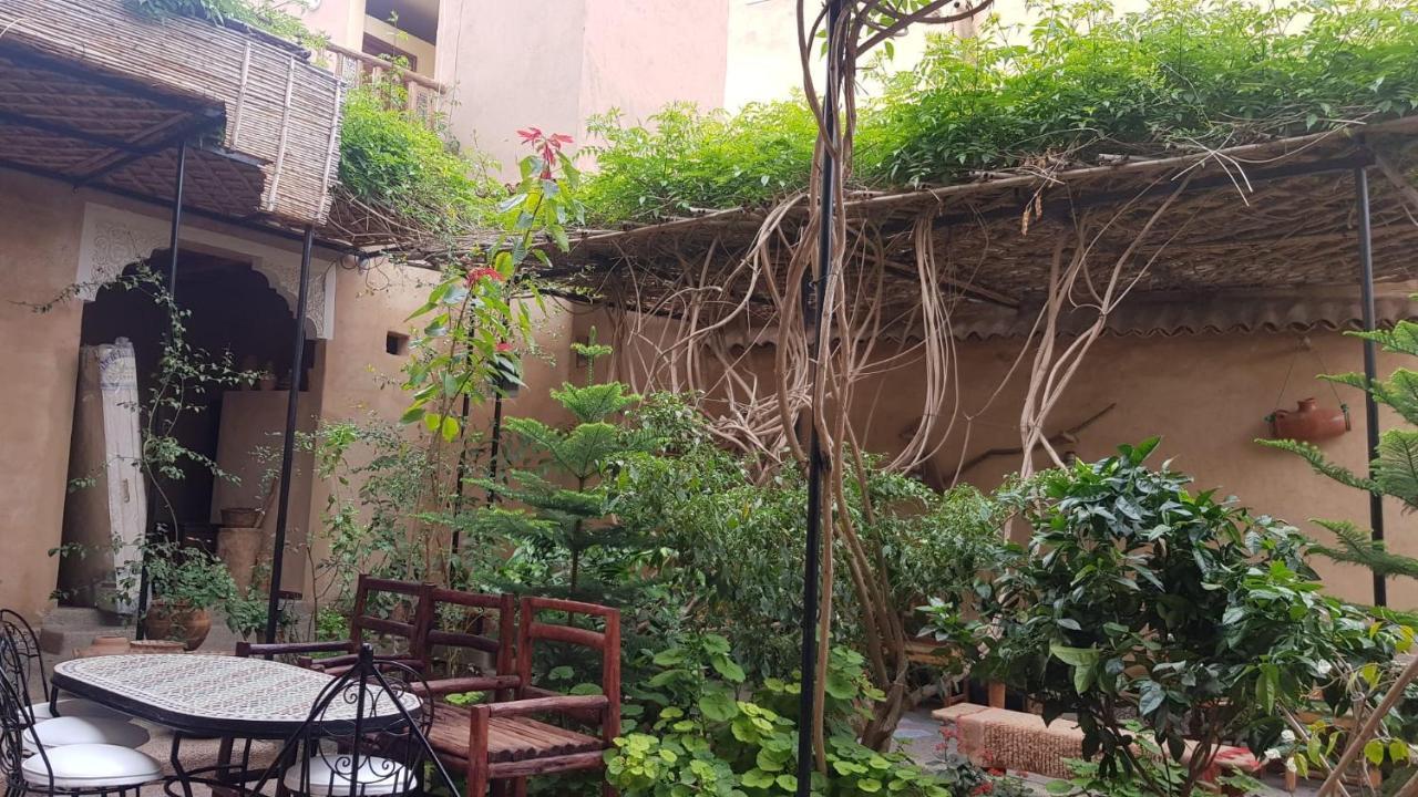 Oasis De Tiout Apartment Room photo